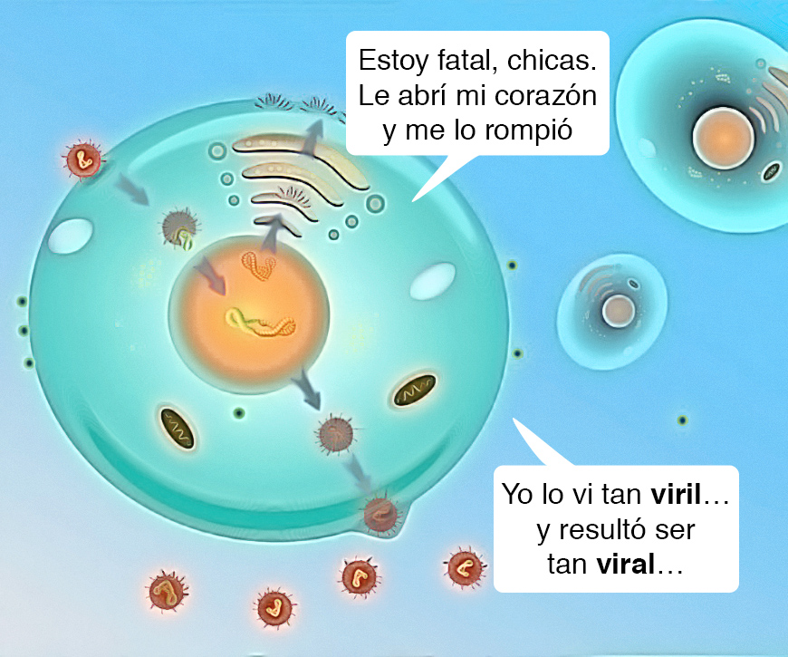 Viralidad viril