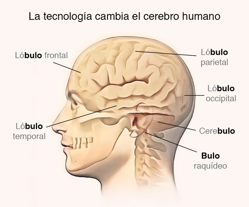 Cerebro y tecnología