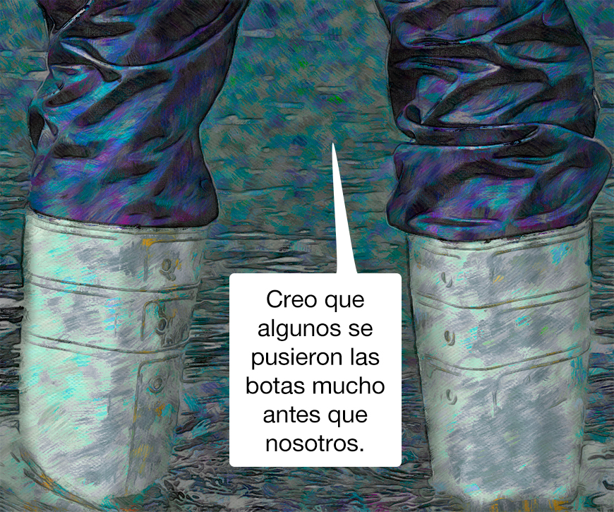 Botas