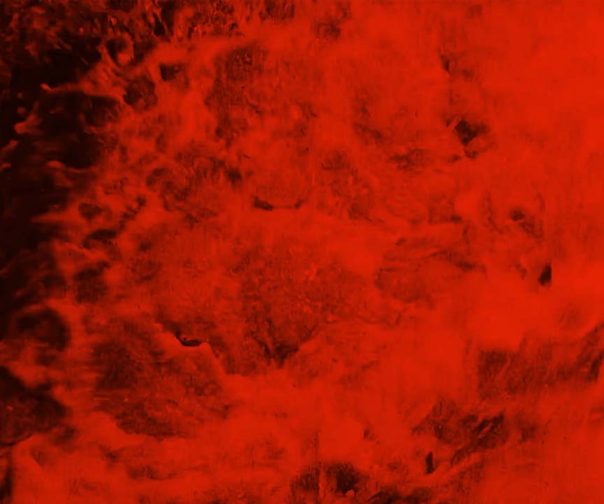 Rojo encarnao
